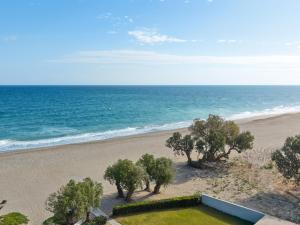 an overhead view of a beach with trees and the ocean at Grecotel Casa Adele in Platanes