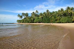 a sandy beach with palm trees and the ocean at Casa completa com piscina 12min da praia in Porto Seguro
