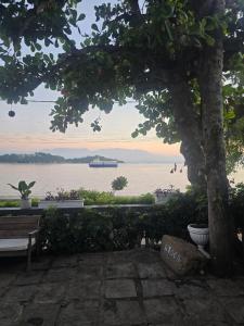 a tree with a view of a body of water at A Tóca in Rio de Janeiro