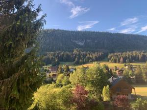 a house in a field with a mountain in the background at Refuge 1000, studio cosy in Mijoux