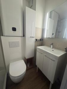 a bathroom with a white toilet and a sink at Refuge 1000, studio cosy in Mijoux +10 photos