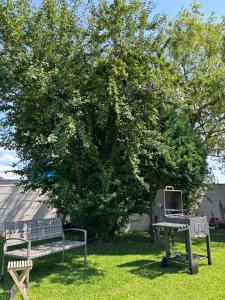 a grill and a bench in front of a tree at Harmonie im Grünen - Charmantes Erdgeschoss Privatzimmer mit Gartenzugang in Wathlingen