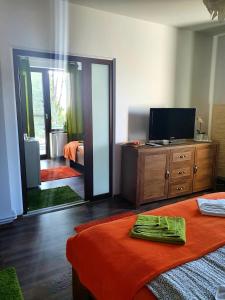 a bedroom with a bed and a tv and a mirror at Vila Laura 1 in Sovata +5 photos