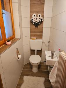 a small bathroom with a toilet and a sink at Ferienhaus Teichalm in Lantsch +16 photos