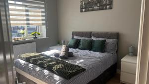 a bedroom with a bed with green pillows and a window at Modern 2 bedroom house, sleeps 5 guests, Free parking in Hull