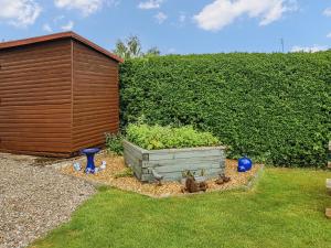 a garden with a wooden shed next to a hedge at Ivy Cottage in Crieff +23 photos