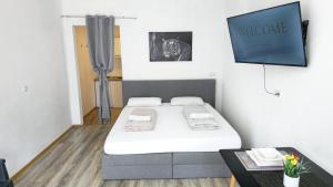 a room with a bed and a flat screen tv at Cozy Studio Apartment In The Black Forest in Villingen-Schwenningen