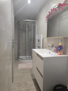 a white bathroom with a shower and a sink at L'instant cosy climatisé 2 in Sisteron +58 photos