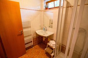 a small bathroom with a sink and a shower at Apartmány Kořenný in Korěnný