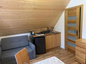 a room with a couch and a table and a kitchen at Kubanka dom pokoje apartamenty in Płocice