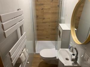a bathroom with a toilet and a sink and a mirror at Kubanka dom pokoje apartamenty in Płocice +17 photos