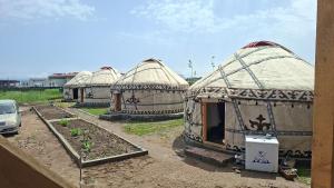 a group of four yurt buildings in a field at Ак кайын in Chok-Tal