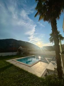 a swimming pool with a palm tree and the sunset at Villa Vincek in Mostar
