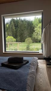 a bed in a bedroom with a large window at Mountain villa in Skhidnitsa