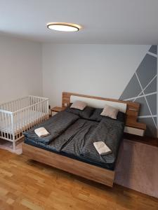a bedroom with a large bed in a room at Apartmán Forst in Nová Lesná
