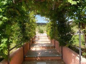 a path through an arch of grape vines at Relais Fenicottero Rosa in Porto San Paolo
