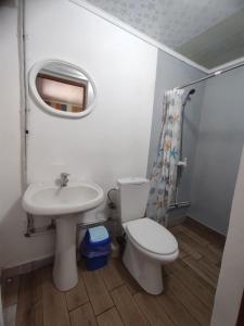 a bathroom with a toilet and a sink and a mirror at BurshtynSV in Svityazʼ