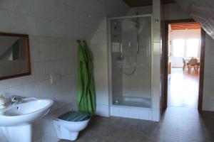 a bathroom with a shower and a toilet and a sink at Villa Mary in Lychen +16 photos