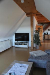 a large living room with a flat screen tv at Villa Mary in Lychen