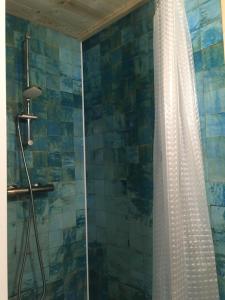 a shower with a shower curtain in a bathroom at La maison des ponts in Pont-sur-Madon