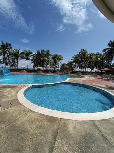 a large swimming pool with palm trees in the background at Nautilus suites in Tucacas +8 photos