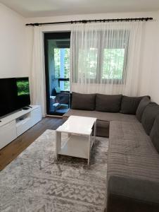 a living room with a couch and a tv at Virgin Forest D&A in Gornja Presjenica