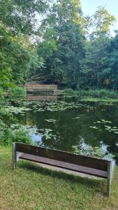 a bench sitting in front of a pond with lilies at Gästehaus Ferienwohnung Wohnung #1 Jülich in Jülich +14 photos