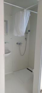 a bathroom with a shower with a shower curtain at Ferienwohnung Kirschbaumblick in Ettringen +4 photos