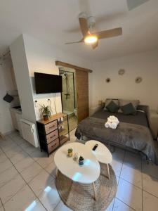 a living room with a bed and a table at Saint-Pierre Studio in Avignon