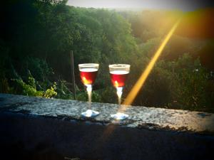two glasses of wine sitting on top of a ledge at La Bruyère-Maison d'hôtes-Piscine in May-sur-Orne