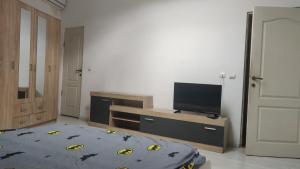a bedroom with a bed and a tv in it at Enjoy strudio apartment M in Murfatlar
