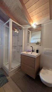 a bathroom with a sink and a shower and a toilet at Chalet Veronique Private Sauna & FREE SaastalCard in Saas-Fee +29 photos