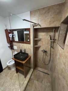 a bathroom with a shower and a sink and a toilet at Green Escape in Slănic-Moldova +32 photos