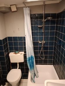 a bathroom with a toilet and a shower with a shower curtain at FjordHome in Flensburg