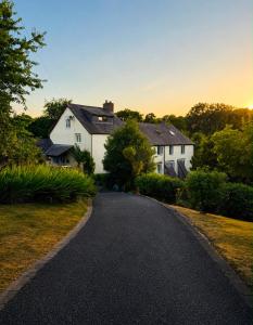 a road leading to a white house at Hafannedd Cottage - riverside views in Corwen