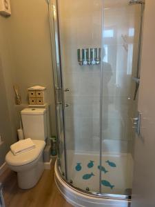 a bathroom with a shower and a toilet at Apartment in Constantine in Constantine +13 photos