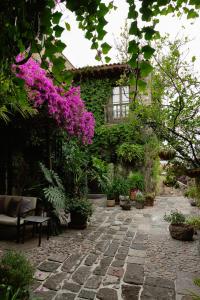 a garden with flowers and a house with a stone patio at Hacienda Las Amantes in San Miguel de Allende