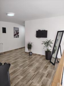 an empty room with wooden floors and plants at Apartmani Hilston in Vršac