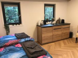a bedroom with a bed and a sink and a counter at B&B An de N35 in Zwolle