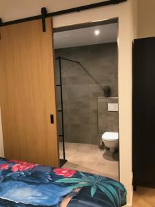 a bathroom with a toilet and a bed in a room at B&B An de N35 in Zwolle +1 photo