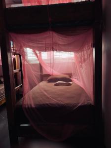 a bunk bed with pink mosquito netting on it at Lake Hostel Anuradhapura in Anuradhapura