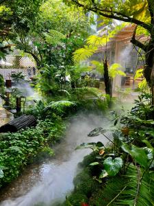 a stream of water in a garden with plants at Kharin guesthouse in Nakhon Phanom