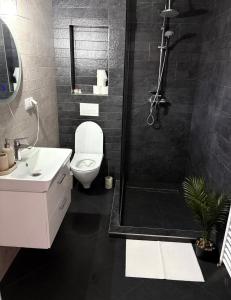 a bathroom with a shower and a toilet and a sink at 4You in Cristuru Secuiesc