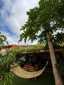 a hammock in front of a house with a palm tree at Pensão Asa Branca in Assomada