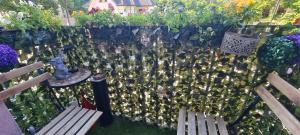a garden with a fence covered in lots of plants at Silverka Studio in Tarnowskie Góry