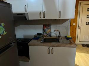 eine kleine Küche mit Spüle und Kühlschrank in der Unterkunft Kalaj in Tale + 1 Foto