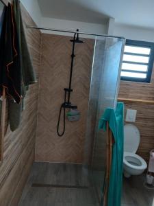 a shower in a bathroom with a toilet at La cabane au millieu du jardin in Saint-Louis