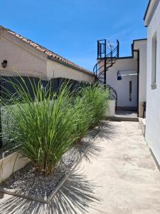 a row of plants next to a building at Apartmani Alma in Pula