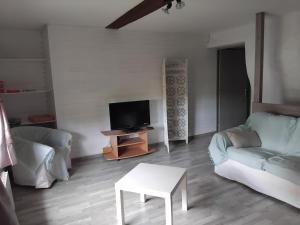 a living room with a couch and a tv at gite La Tour Au Comté in Charency