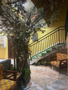 a living room with a tree and a staircase at Da Palm boutique resort in Aburi